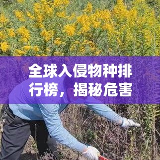全球入侵物种排行榜，揭秘危害生态的隐形杀手排名