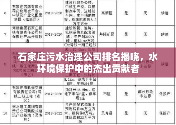 石家庄污水治理公司排名揭晓，水环境保护中的杰出贡献者