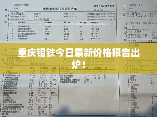 重庆钼铁今日最新价格报告出炉！