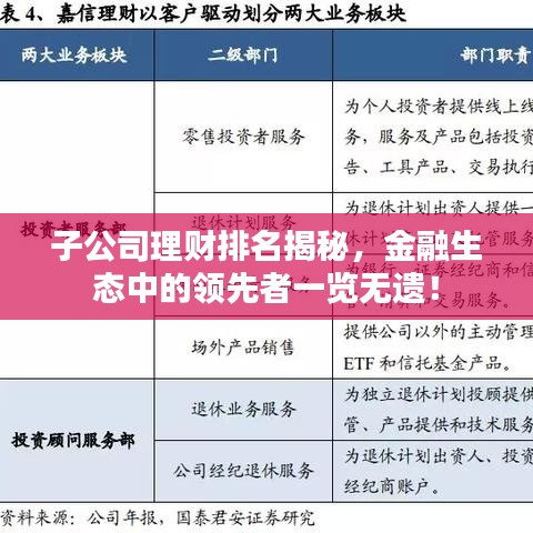 子公司理财排名揭秘，金融生态中的领先者一览无遗！