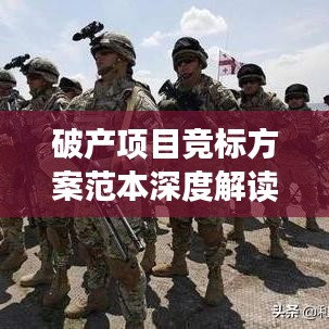 破产项目竞标方案范本深度解读，最新规范与操作指南