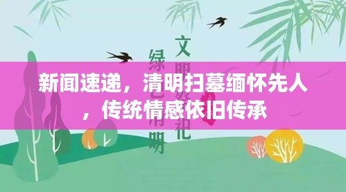 新闻速递，清明扫墓缅怀先人，传统情感依旧传承