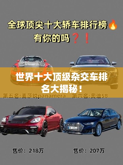 走马观花