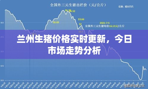 兰州生猪价格实时更新，今日市场走势分析