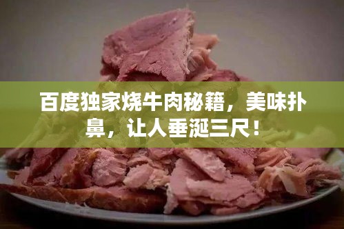 百度独家烧牛肉秘籍，美味扑鼻，让人垂涎三尺！
