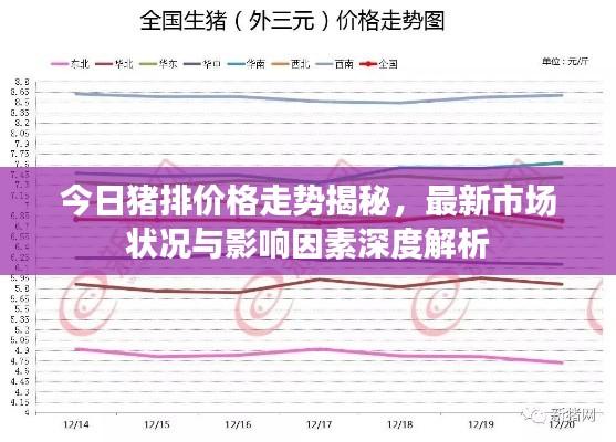 今日猪排价格走势揭秘，最新市场状况与影响因素深度解析