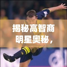 揭秘高智商明星奥秘，名人智商排名前十名榜单