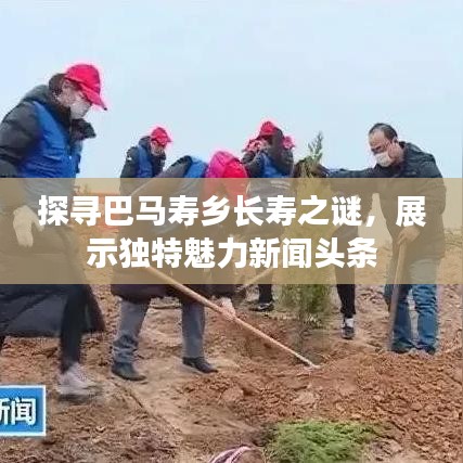 探寻巴马寿乡长寿之谜，展示独特魅力新闻头条