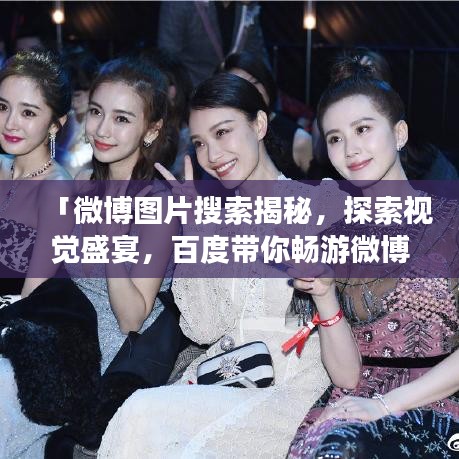 「微博图片搜索揭秘，探索视觉盛宴，百度带你畅游微博世界！」