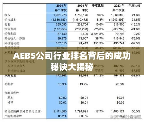 AEBS公司行业排名背后的成功秘诀大揭秘