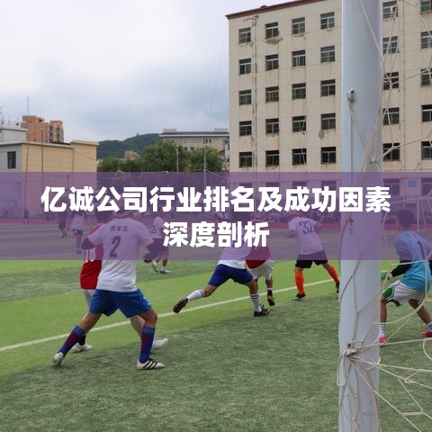 亿诚公司行业排名及成功因素深度剖析
