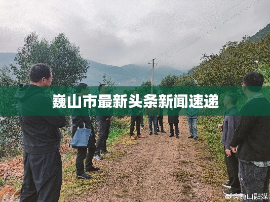 巍山市最新头条新闻速递