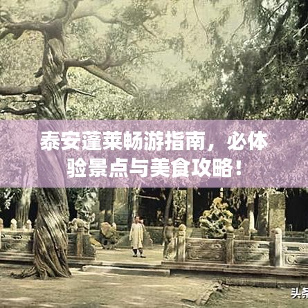 泰安蓬莱畅游指南，必体验景点与美食攻略！