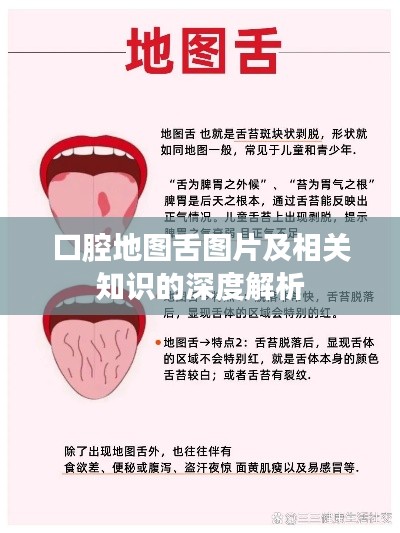 口腔地图舌图片及相关知识的深度解析