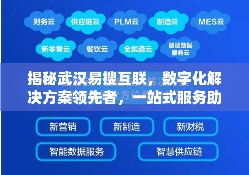 揭秘武汉易搜互联，数字化解决方案领先者，一站式服务助力企业腾飞