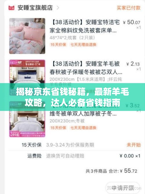 揭秘京东省钱秘籍，最新羊毛攻略，达人必备省钱指南