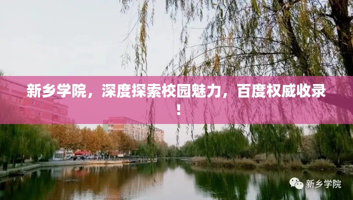 新乡学院，深度探索校园魅力，百度权威收录！