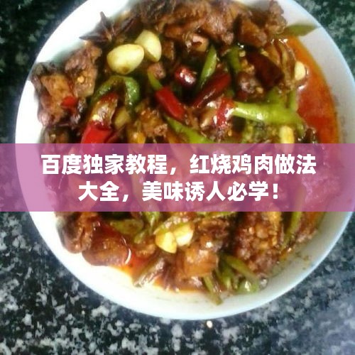 百度独家教程，红烧鸡肉做法大全，美味诱人必学！
