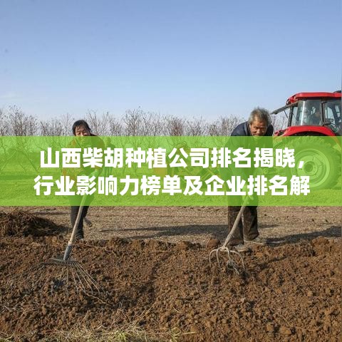 山西柴胡种植公司排名揭晓，行业影响力榜单及企业排名解析