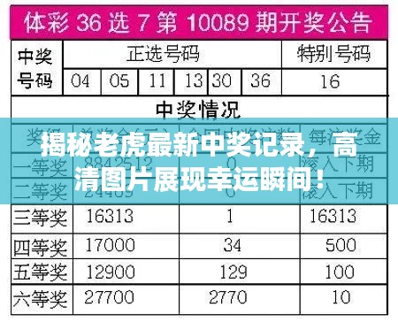 揭秘老虎最新中奖记录，高清图片展现幸运瞬间！