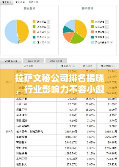 拉萨文秘公司排名揭晓，行业影响力不容小觑