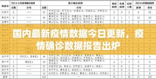 国内最新疫情数据今日更新，疫情确诊数据报告出炉