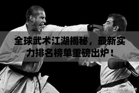 全球武术江湖揭秘，最新实力排名榜单重磅出炉！