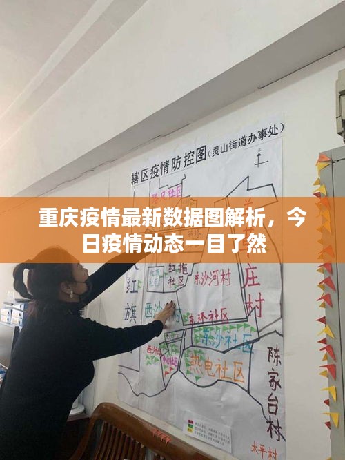 重庆疫情最新数据图解析，今日疫情动态一目了然