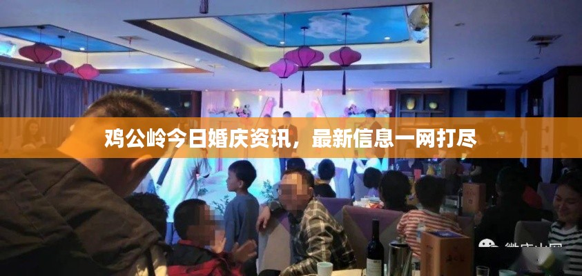 鸡公岭今日婚庆资讯，最新信息一网打尽
