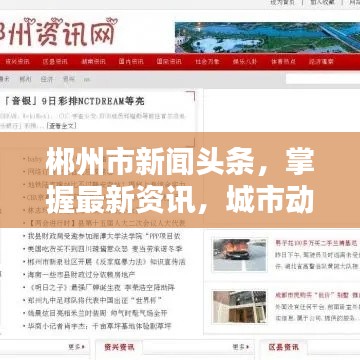 郴州市新闻头条，掌握最新资讯，城市动态一手掌握