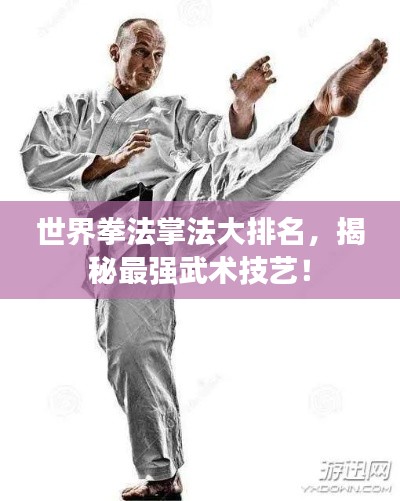 世界拳法掌法大排名，揭秘最强武术技艺！