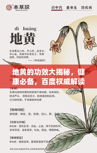 地黄的功效大揭秘，健康必备，百度权威解读