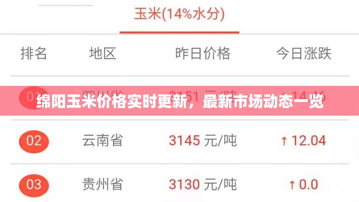 一本正经