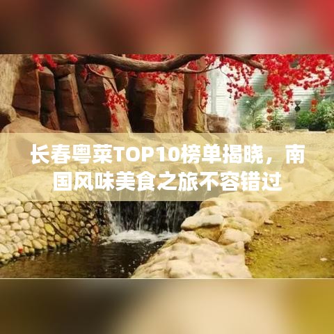 长春粤菜TOP10榜单揭晓，南国风味美食之旅不容错过