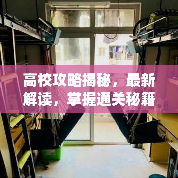 高校攻略揭秘，最新解读，掌握通关秘籍！