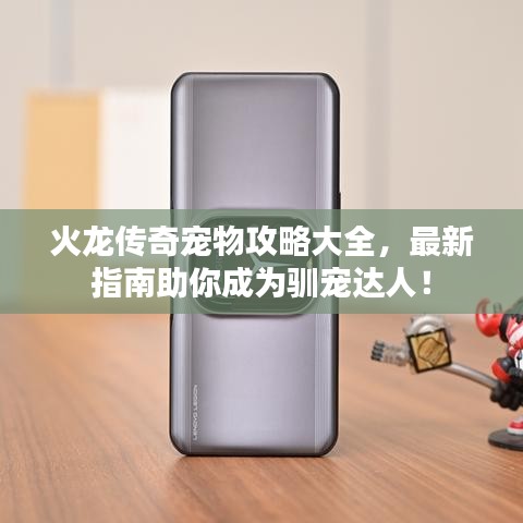 火龙传奇宠物攻略大全，最新指南助你成为驯宠达人！