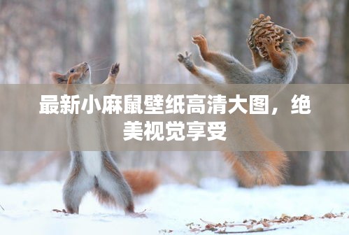 最新小麻鼠壁纸高清大图，绝美视觉享受