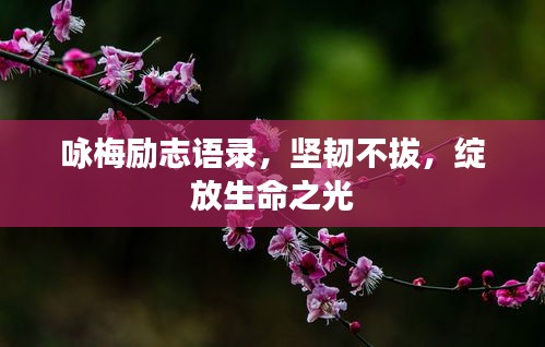 咏梅励志语录，坚韧不拔，绽放生命之光