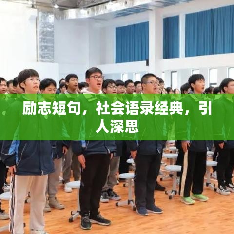 励志短句，社会语录经典，引人深思