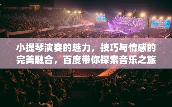 小提琴演奏的魅力，技巧与情感的完美融合，百度带你探索音乐之旅