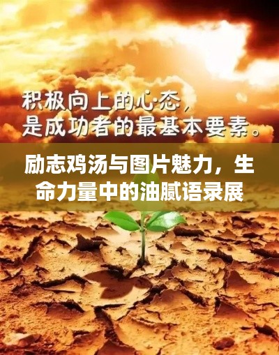 不求甚解