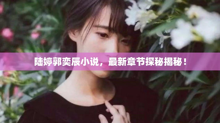 陆婷郭奕辰小说，最新章节探秘揭秘！