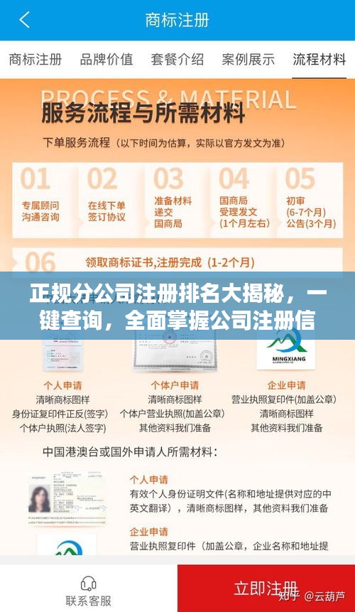 正规分公司注册排名大揭秘，一键查询，全面掌握公司注册信息与排名！