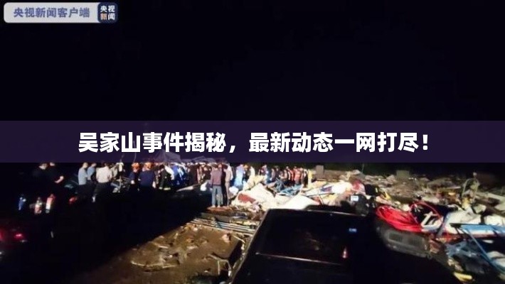 吴家山事件揭秘，最新动态一网打尽！