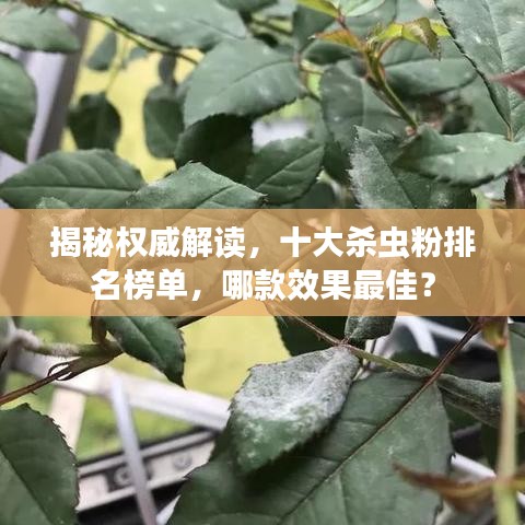 揭秘权威解读，十大杀虫粉排名榜单，哪款效果最佳？