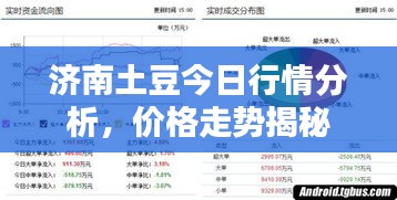 济南土豆今日行情分析，价格走势揭秘