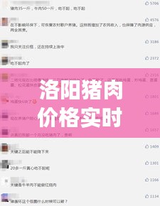 洛阳猪肉价格实时更新，最新市场动态一览