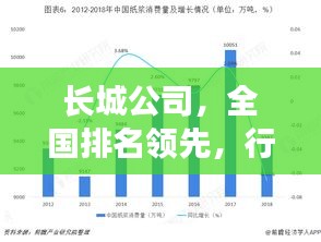 长城公司，全国排名领先，行业影响力不容小觑