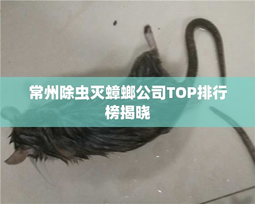 常州除虫灭蟑螂公司TOP排行榜揭晓
