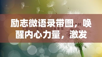 励志微语录带图，唤醒内心力量，激发无限潜能！